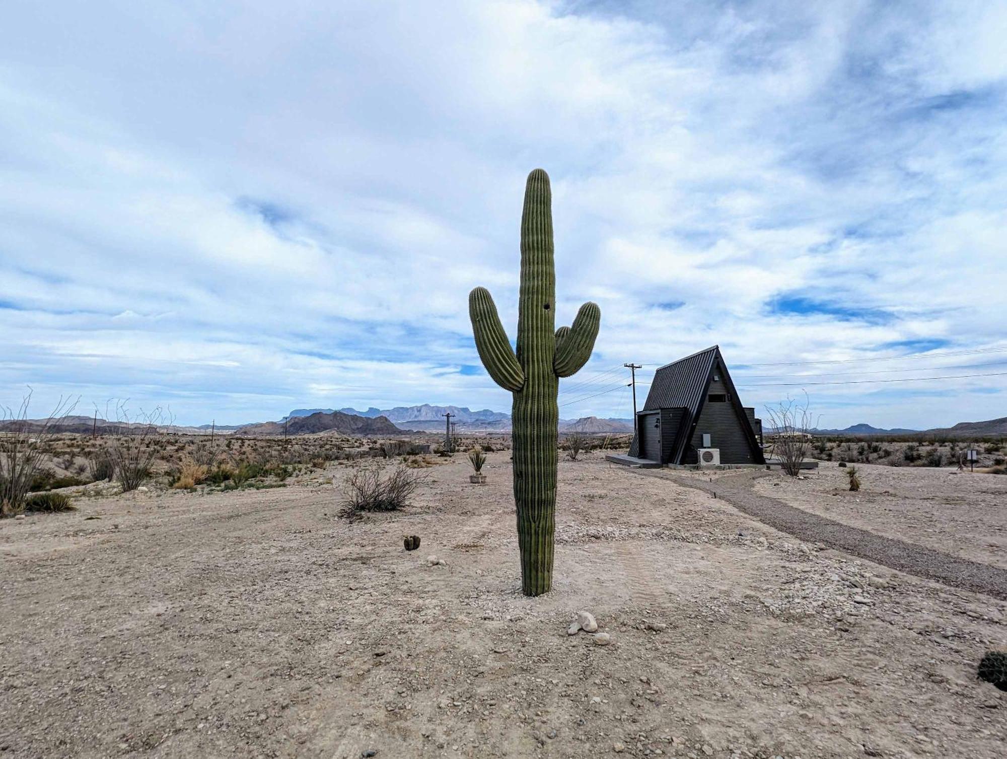 Stardust Luxury Cottage With Loft & A Great View Terlingua Kültér fotó
